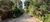 Terreno, 1000 m² - Foto 1