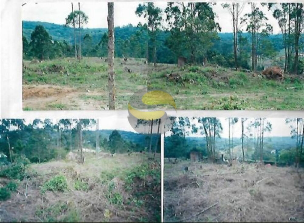 Terreno, 1550 m² - Foto 7