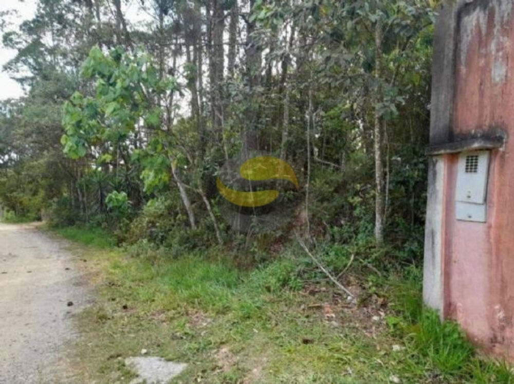 Terreno, 1550 m² - Foto 3