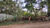 Terreno, 1000 m² - Foto 2