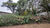Terreno, 1000 m² - Foto 4
