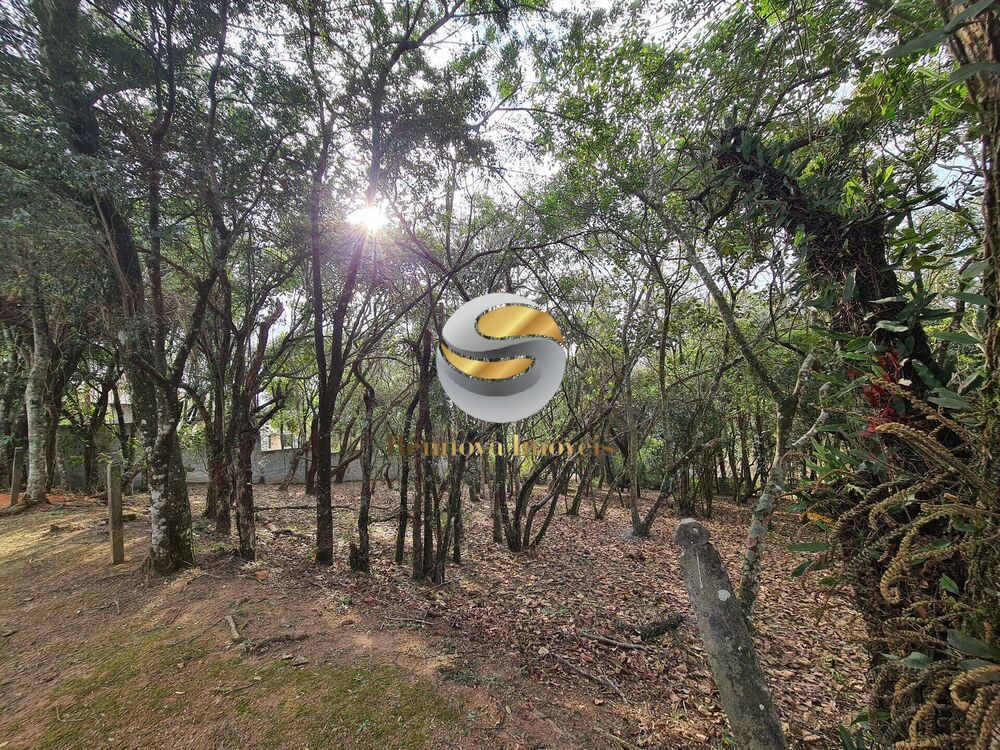 Terreno, 1575 m² - Foto 4