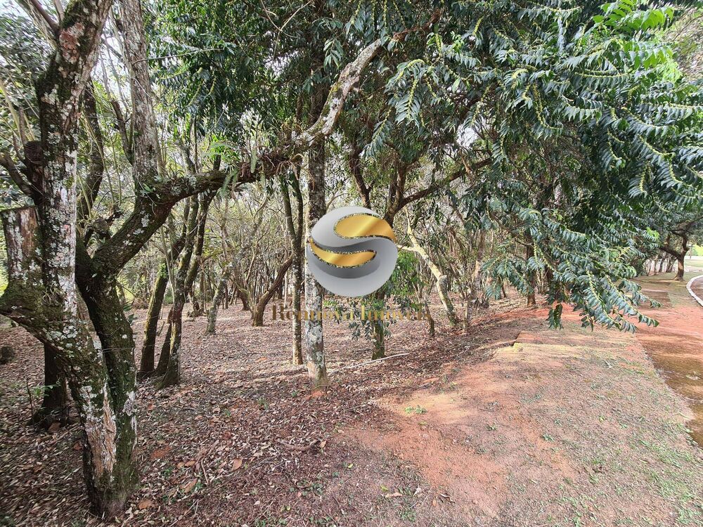 Terreno, 1575 m² - Foto 3