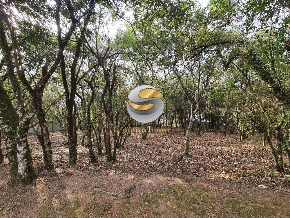 Terreno, 1575 m² - Foto 2