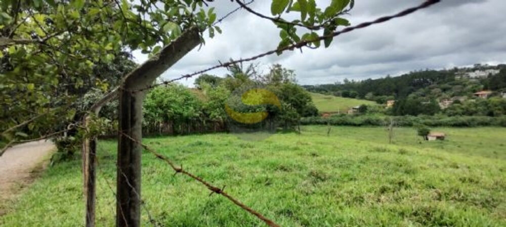 Terreno, 3 hectares - Foto 8