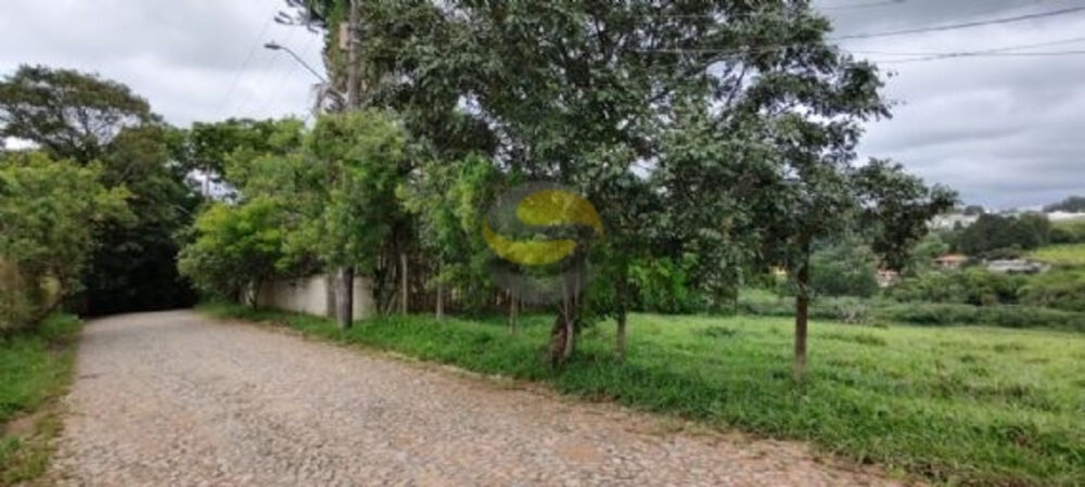 Terreno, 3 hectares - Foto 6