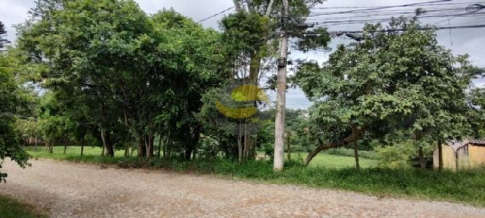 Terreno, 3 hectares - Foto 4