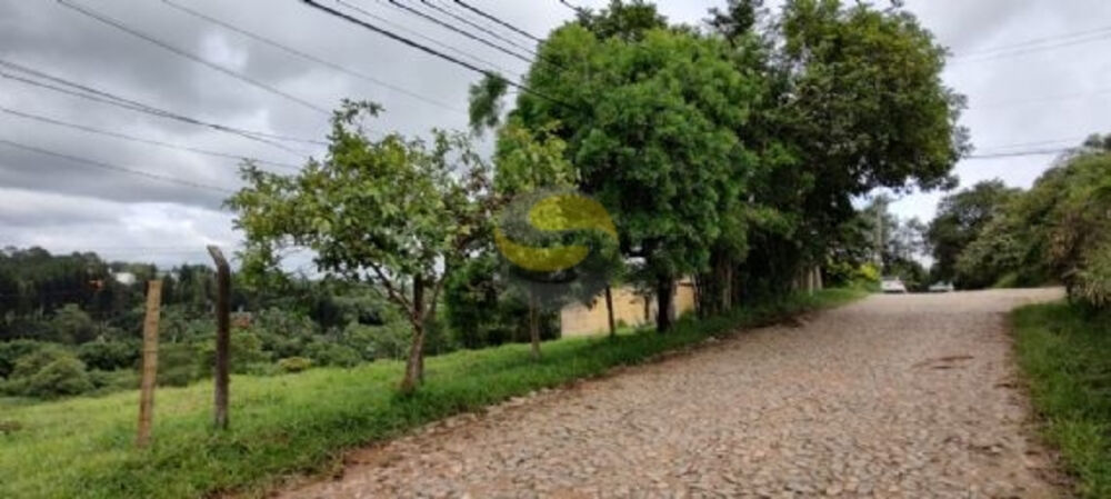 Terreno, 3 hectares - Foto 7