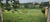 Terreno, 3 hectares - Foto 3