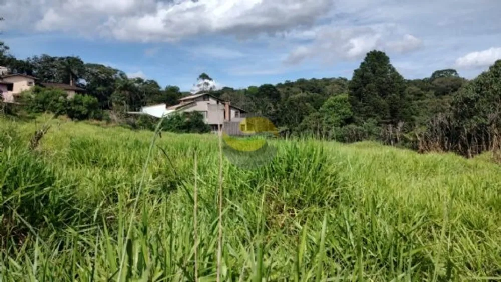 Terreno, 1000 m² - Foto 4