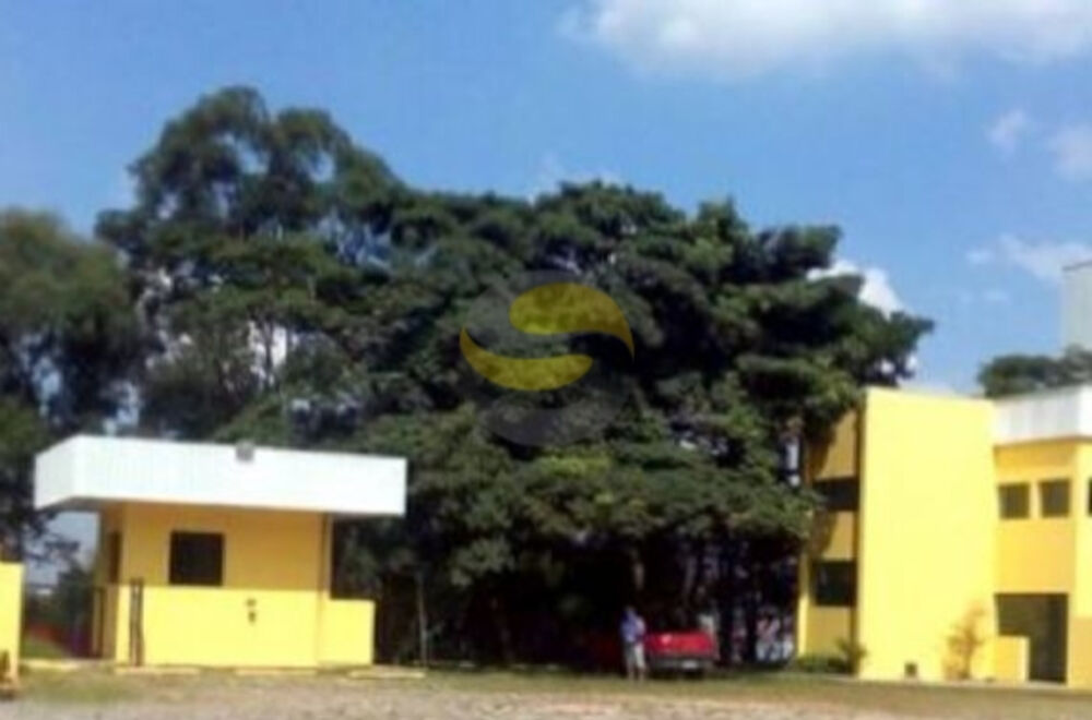 Depósito-Galpão, 11000 m² - Foto 4