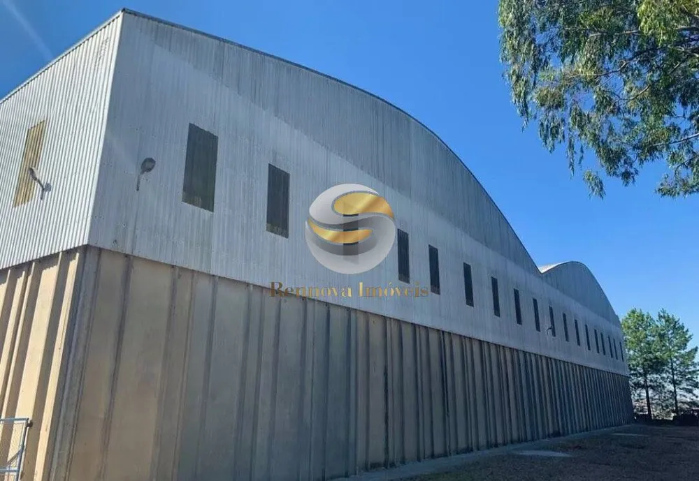 Depósito-Galpão, 10000 m² - Foto 5