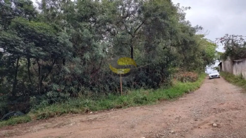 Terreno, 6500 m² - Foto 5