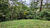 Terreno, 1038 m² - Foto 3