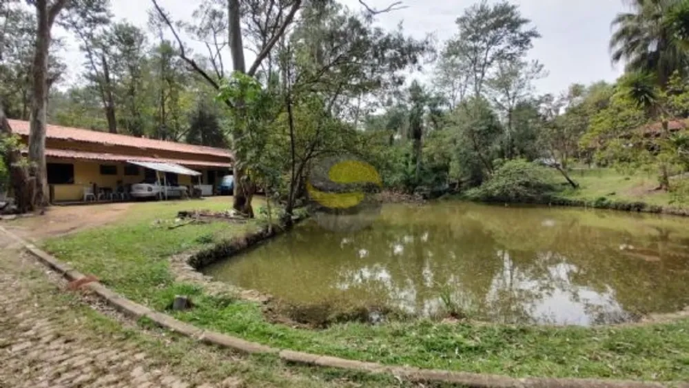 Terreno, 3 hectares - Foto 2