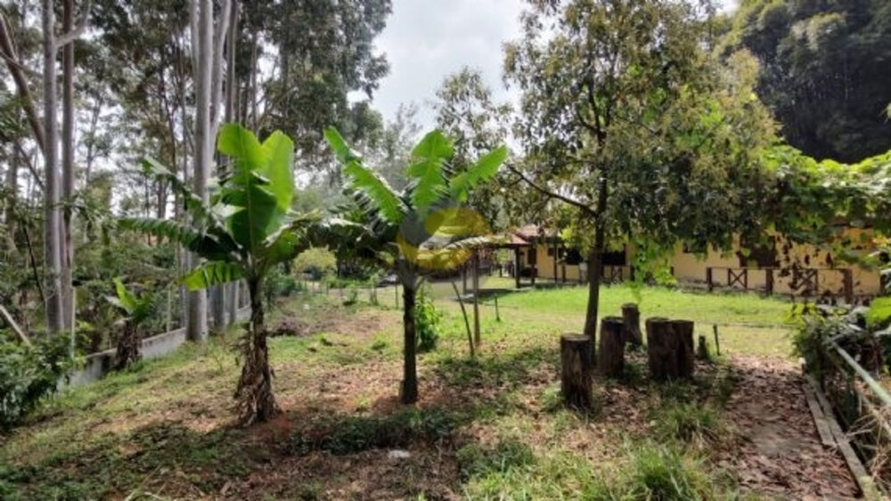 Terreno, 3 hectares - Foto 3