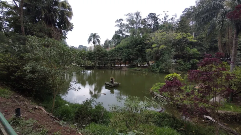 Terreno, 3 hectares - Foto 16