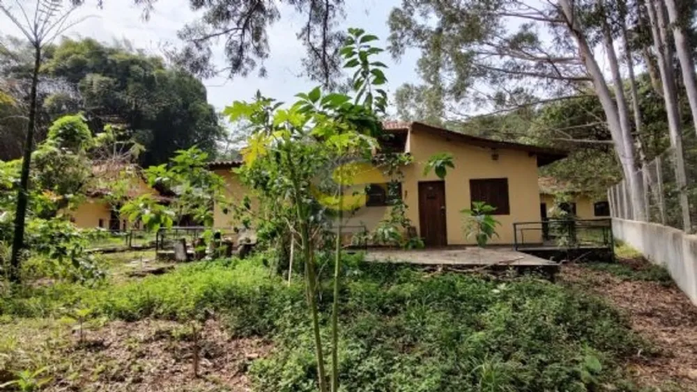 Terreno, 3 hectares - Foto 7