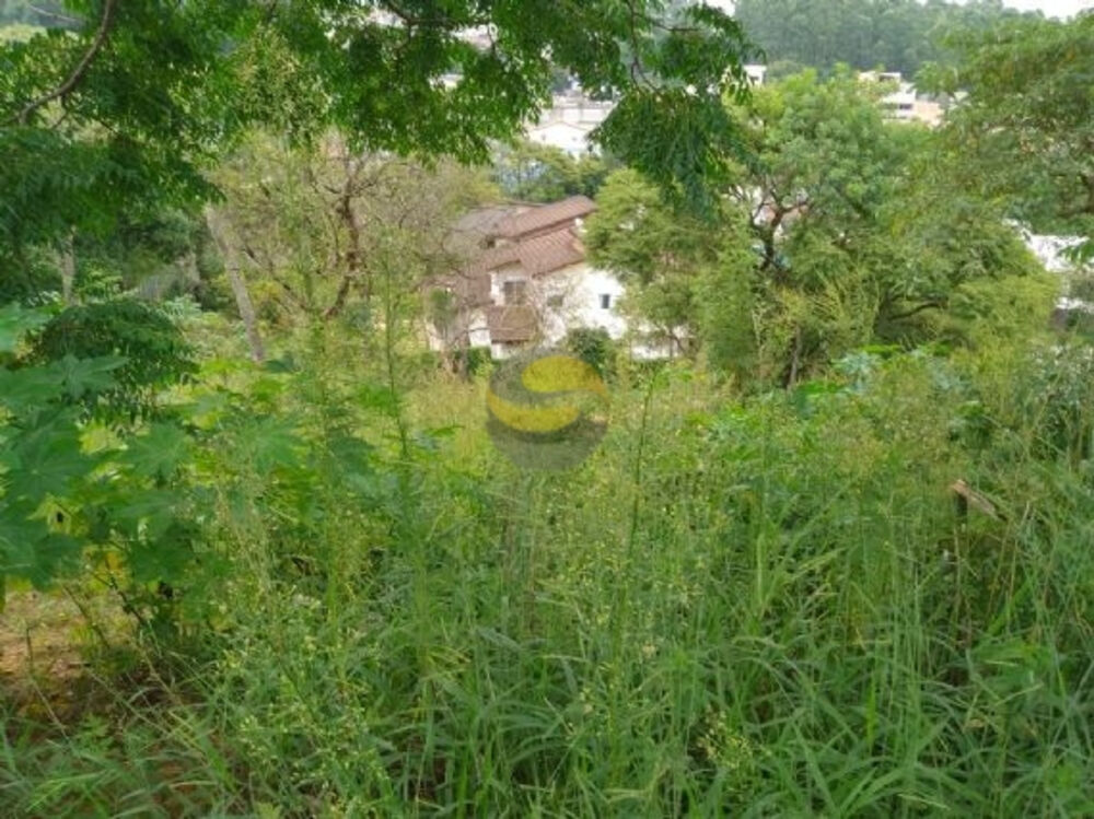 Terreno, 1236 m² - Foto 4