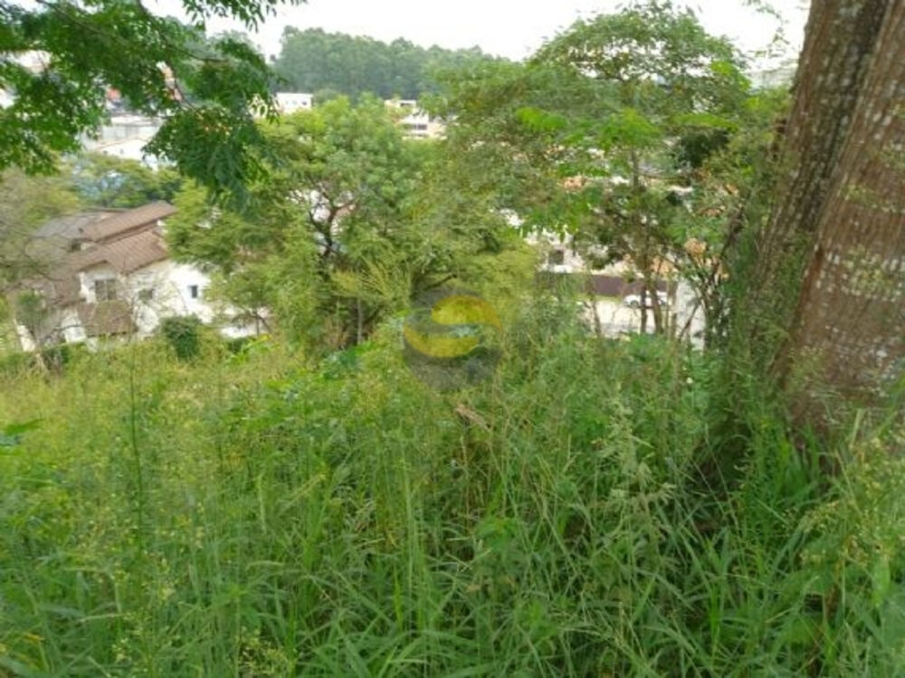 Terreno, 1236 m² - Foto 6