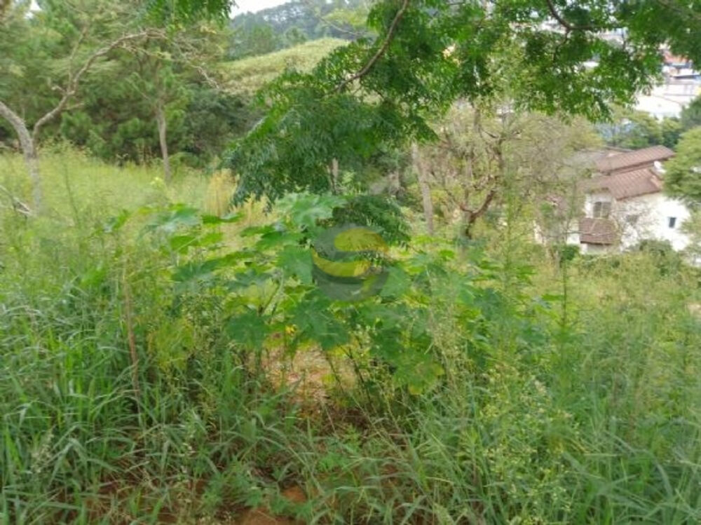 Terreno, 1236 m² - Foto 1