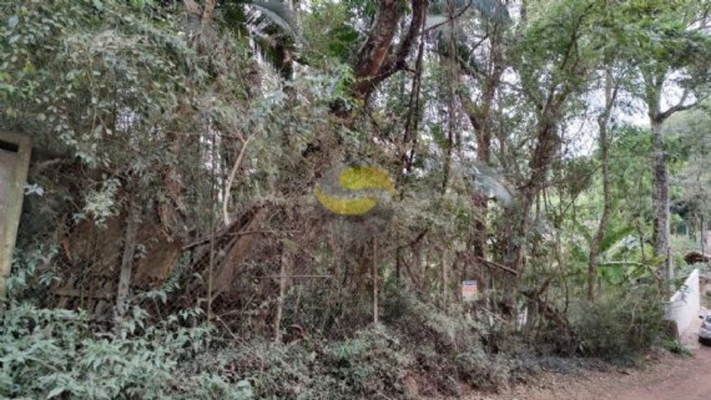 Terreno, 2000 m² - Foto 3