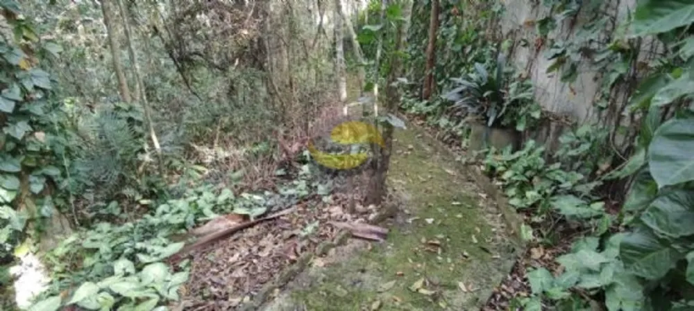 Terreno, 2560 m² - Foto 18