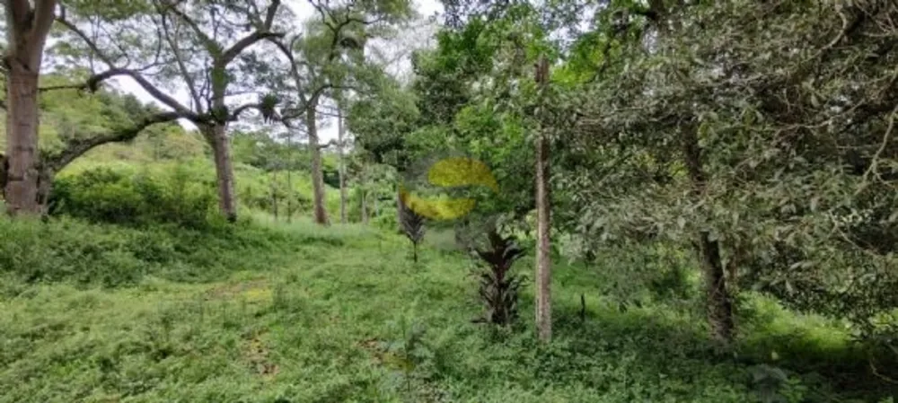 Terreno, 10 hectares - Foto 8