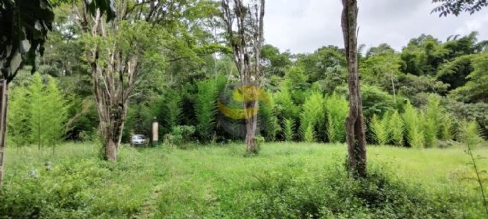 Terreno, 10 hectares - Foto 1