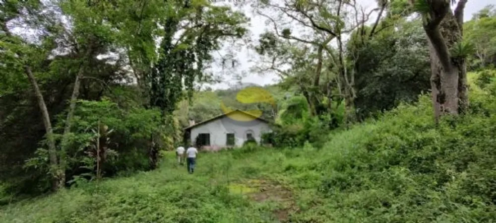 Terreno, 10 hectares - Foto 3