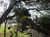 Terreno, 880 m² - Foto 5