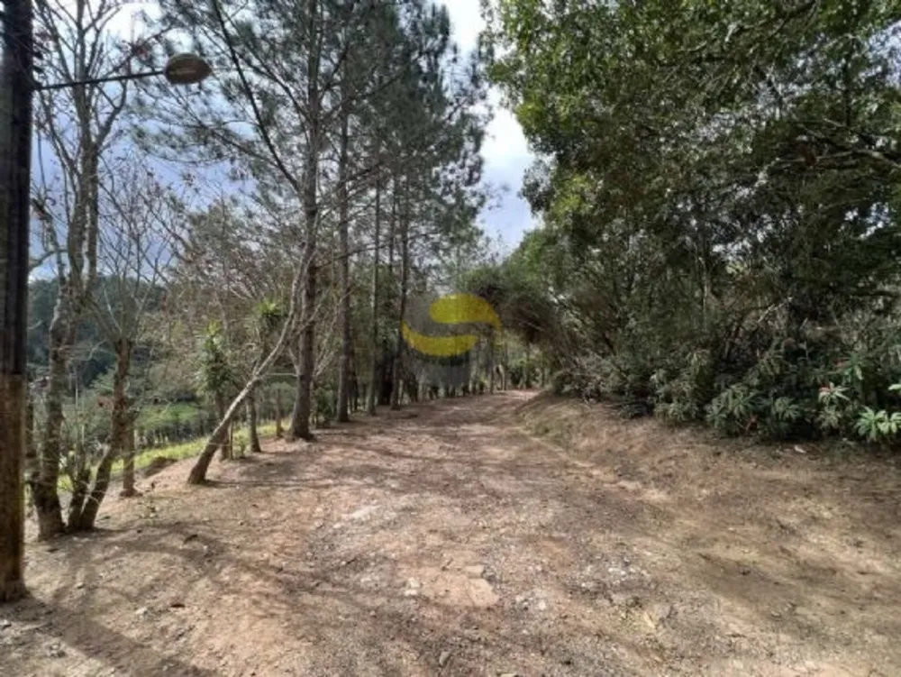 Terreno, 2 hectares - Foto 7