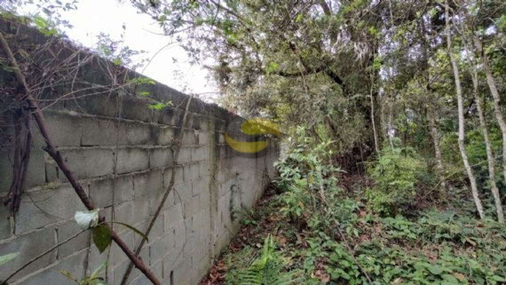 Terreno, 3000 m² - Foto 2