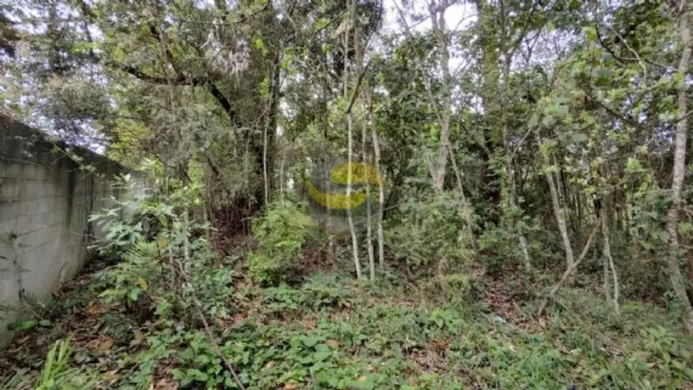 Terreno, 3000 m² - Foto 6