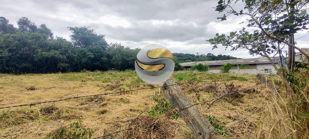 Terreno, 5030 m² - Foto 3