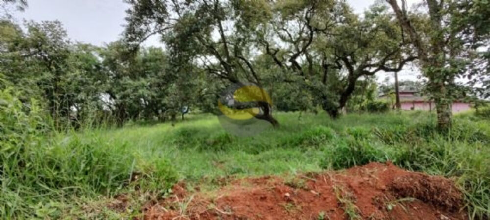 Terreno, 1420 m² - Foto 2