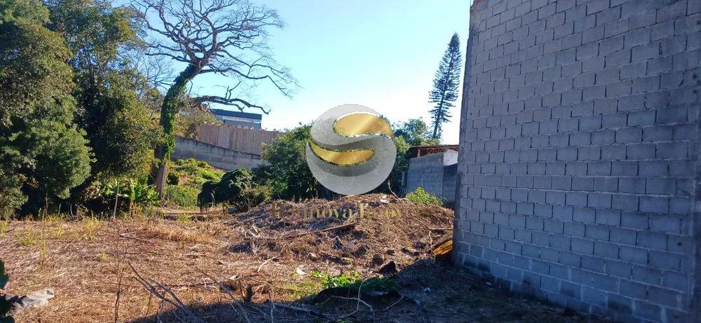 Terreno, 5542 m² - Foto 10