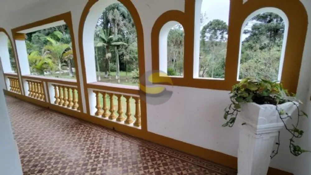 Sítio, 3 quartos, 32 hectares - Foto 8