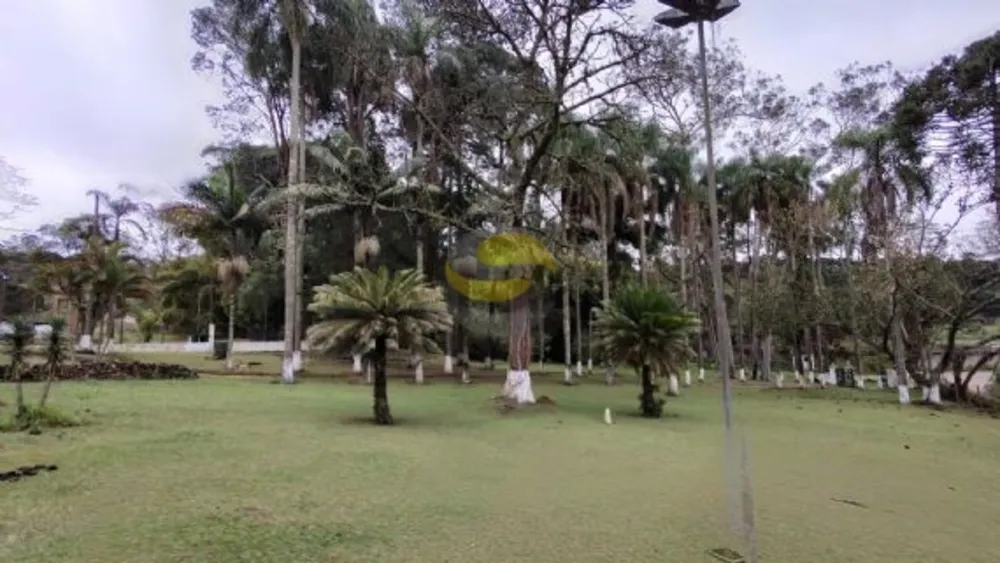 Sítio, 3 quartos, 32 hectares - Foto 3