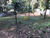 Terreno, 1000 m² - Foto 4