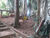 Terreno, 307 m² - Foto 1