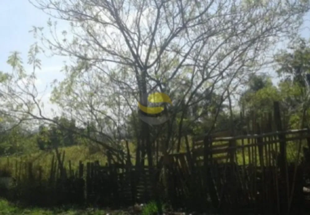 Terreno, 10000 m² - Foto 4