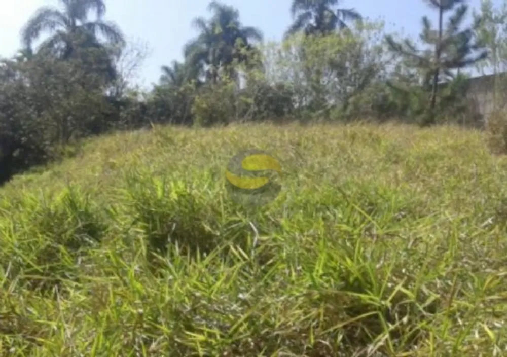 Terreno, 10000 m² - Foto 3