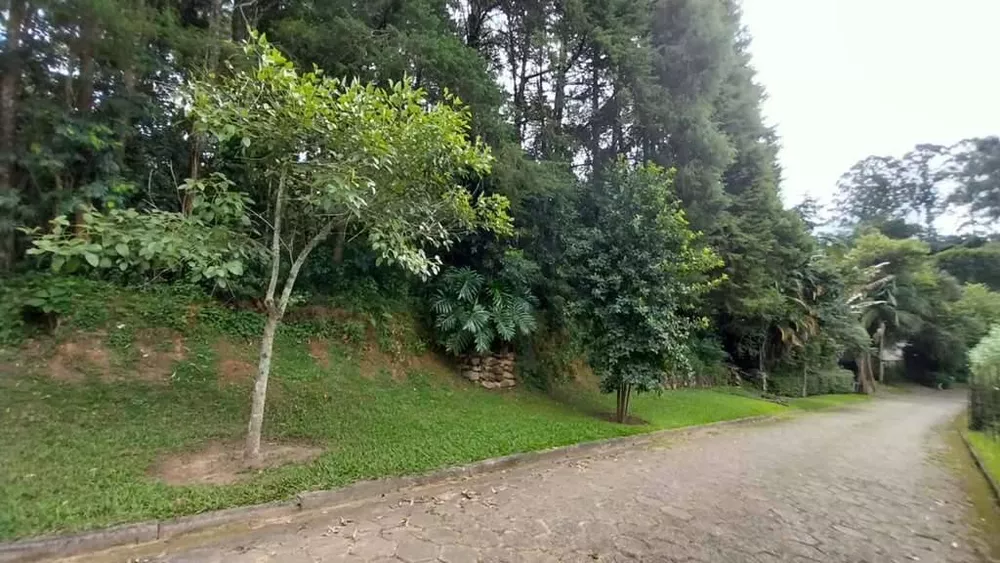 Terreno à venda, 2500m² - Foto 3