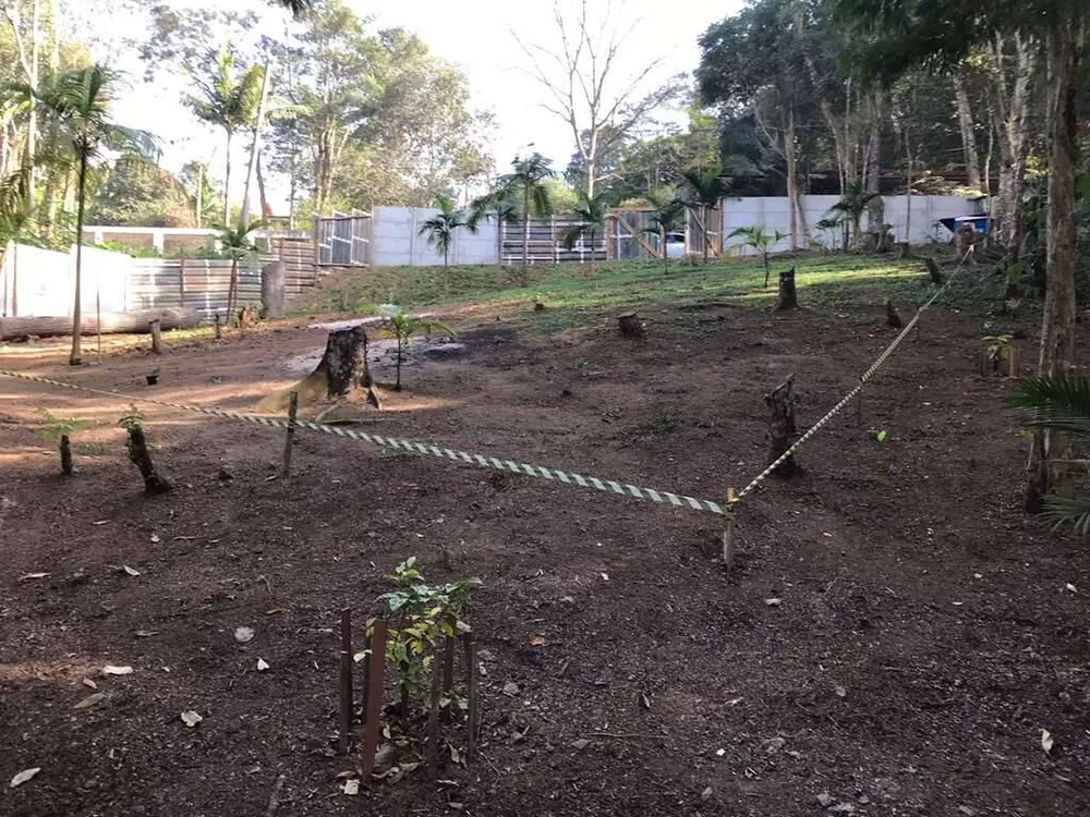 Terreno à venda, 1000m² - Foto 3