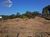 Terreno, 8000 m² - Foto 2