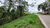 Terreno, 2500 m² - Foto 4