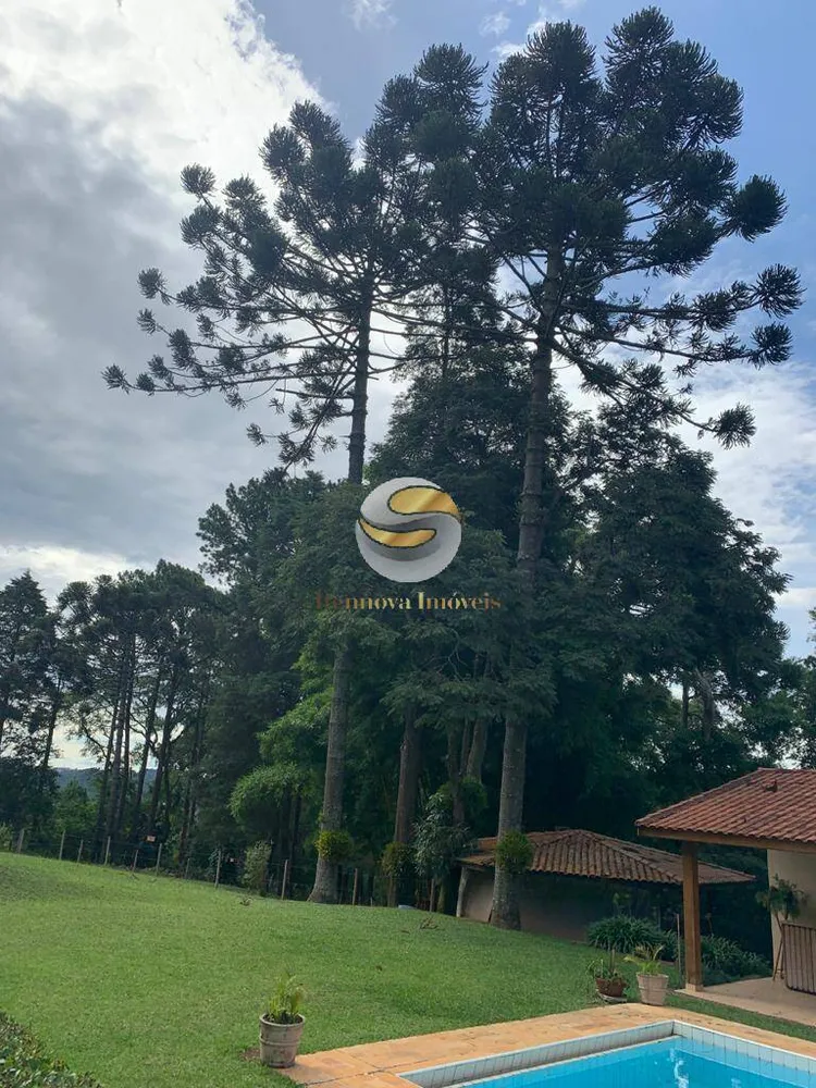 Chácara, 6 quartos, 7800 m² - Foto 7