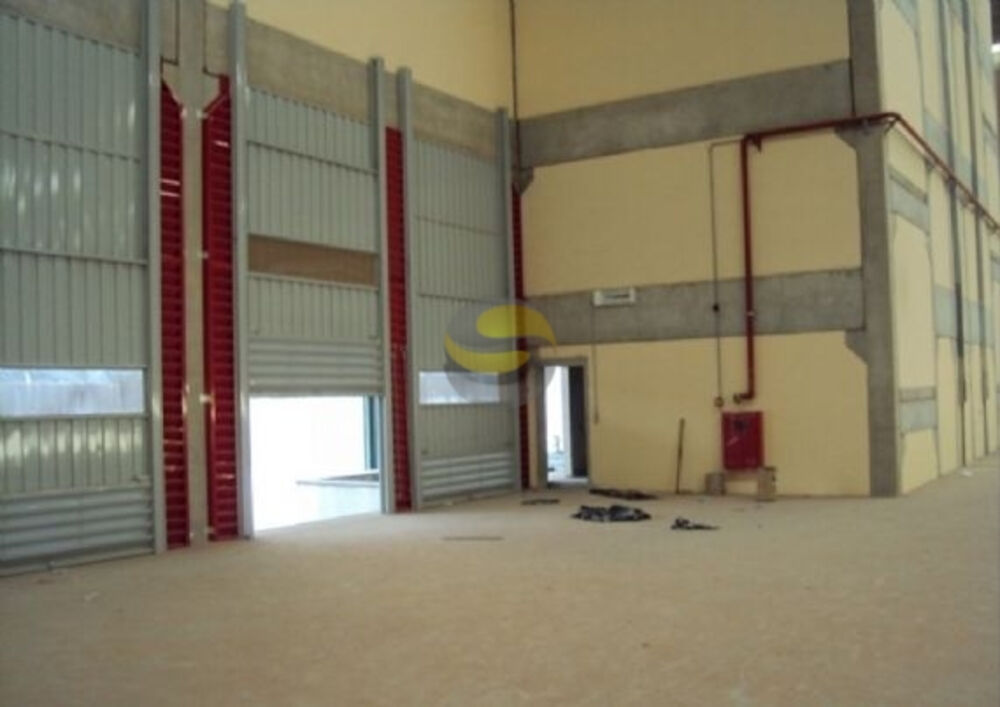 Depósito-Galpão, 2374 m² - Foto 3