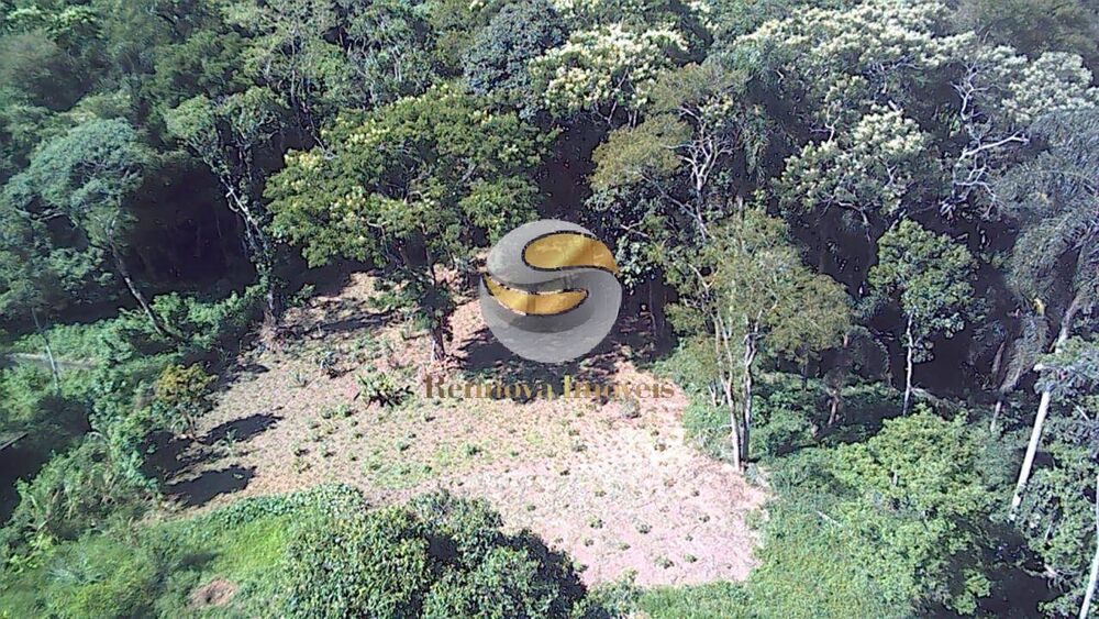 Sítio, 1 quarto, 8000 m² - Foto 7